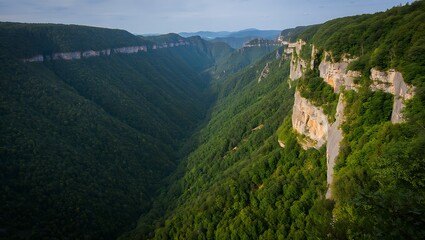 Fototapeta premium Majestic forested gorge carved by nature with steep rock faces