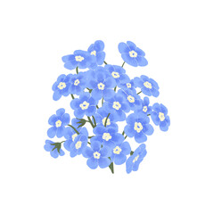Blue forget-me-nots, flower composition, twig, hand-drawn watercolor digital illustration in flat naive style, isolated. Element for designing