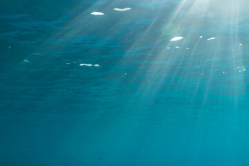 Beautiful underwater scene with magical sunbeams shining through the clear blue ocean surface,...
