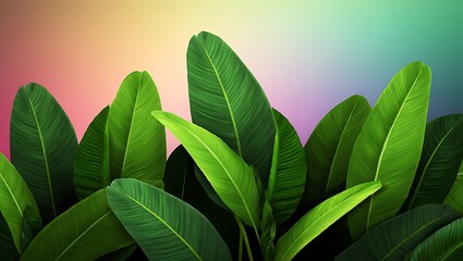 Lush Green Leaves Against a Vibrant Rainbow Gradient Background
