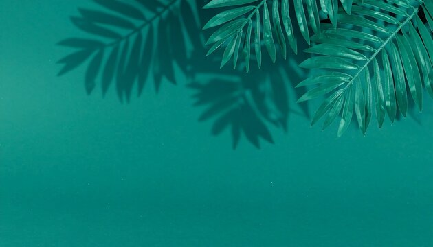 Vibrant teal background showcases shadows of tropical leaves, evoking a serene and natural ambiance.