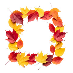 Autumn Leaf Frame: Vibrant Fall Colors for Design