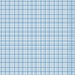 Blue Gingham Check Pattern 