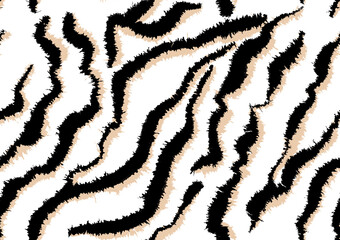 Zebra pattern design, illustration background, gradient zebra design pattern. White background. 