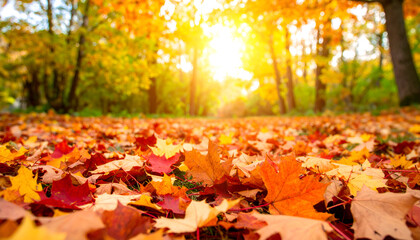 Autumn Leaves Carpet in Sunlight Park