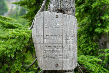 Mount Baker Wilderness Sign, Hiking Trail Marker in Pacific Northwest Forest