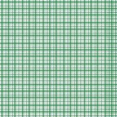  Green Gingham Check Pattern 