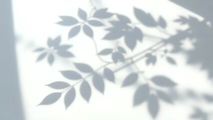 Nature&rsquo;s Light Art: Delicate Shadow Patterns of Leaves in Sunlight