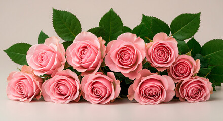 Obraz premium A beautiful horizontal arrangement of a bouquet of pink roses with green leaves on a soft light background
