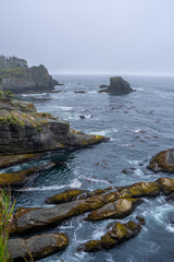 Olympic National Park Coastal Landscape, Rocky Shoreline and Misty Pacific Ocean