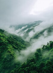 Lush green mountain valley shrouded in low-hanging clouds and mist, creating a serene, ethereal atmosphere
