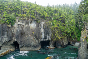Olympic National Park Coastal Landscape, Rocky Shoreline and Misty Pacific Ocean