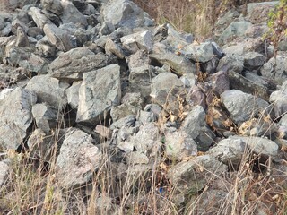 a lot of stones
