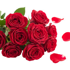 Obraz premium bouquet of red roses