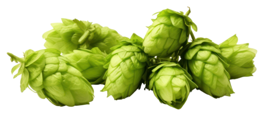 PNG Green hops green plant food.