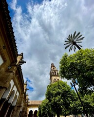 Panoramic tower view of Córdoba Cathedral with gardens and cloudy sky