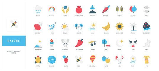 Colorful flat nature icons with clear titles for educational, infographic, or web design use, featuring animals, plants, weather, and food isolated vector illustration