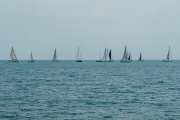 Sailboats Glide Across Tranquil Waters on a Cloudy Day Near the Shore