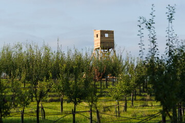 High seat for hunters and gamekeepers in the Czech countryside.