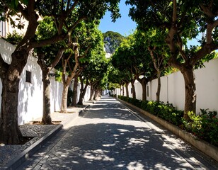 Sunny alleyway lined with trees