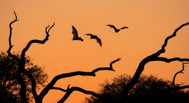 Bats flying at dusk: dark silhouettes against the orange sky, twisted trees in the background, a sense of mystery and freedom.