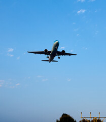 Passenger airplane landing at sunset sky