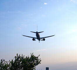 Passenger airplane landing at sunset sky