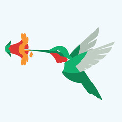 Naklejka premium Cartoon hummingbird with long beak feeding on a colorful flower illustration.