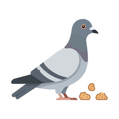 Obraz premium A pigeon stands near small pile of food on a white background.