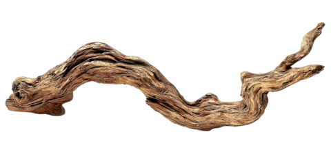 Intricate Driftwood Curves
