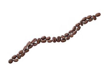 Coffee bean brown roasted curved isolated transparency background aromatic caffeine ingredient food. Curved line of roasted coffee bean transparency background aromatic and rich color perfect