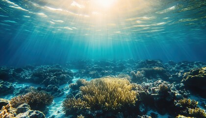 Fototapeta premium Exploring The Vibrant Underwater World Of The Maldives: Stunning Coral Reef, Crystal Clear Blue Water, And Thrilling Snorkeling Adventures Among Marine Wildlife.