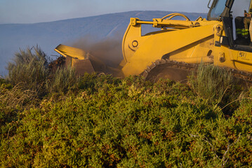 A Yellow Excavator Clearing Brush to Stop a Fire. Concept The strategy of fire prevention.