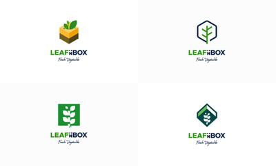 Set of Vegetable Box logo designs concept vector, Nature Box logo designs icon, Nutrition Box logo symbol