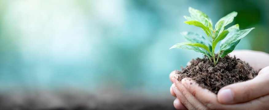 Hands holding a small tree growing from earth with blurred green background, representing concepts of environmental conservation and new life