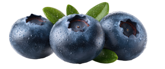 Close-up of three blueberries with water droplets and leaves