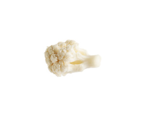 One fresh cauliflower floret isolated on white