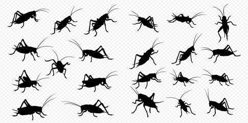 A collection of black cricket silhouettes in various poses and angles on a transparent background. © Adji