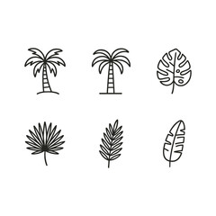 Obraz premium Tropical Trees and Leaves