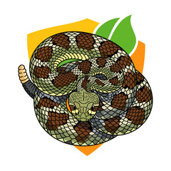 Obraz premium Striking vector illustration of a protected Eastern diamondback rattlesnake in modern minimalist style with sharp lines and shield, capturing its intimidating elegance.