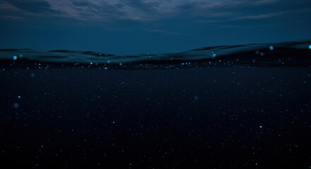 Night Ocean: Bioluminescent Wonders