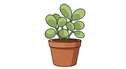 Obraz premium Minimalist Potted Plant - Transparent Background