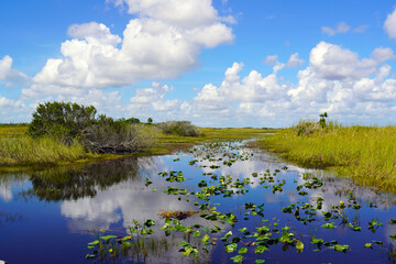 America's Everglades - The largest subtropical wilderness 