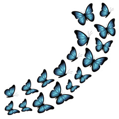 Stunning flock of vibrant blue butterflies gracefully flying in a dynamic formation