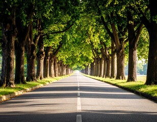 Obraz premium Straight road lined with lush trees