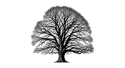 elegant black and white silhouette of a mighty oak tree perfect for nature genealogy or heritage projects
