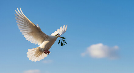 Realistic photo of a white dove flying carrying an olive branch in its beak, clear blue sky as background, a symbol of universal peace and humanity.