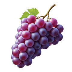 bunch of grapes