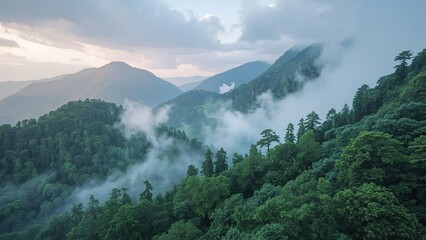 Misty mountain range with lush green forests.