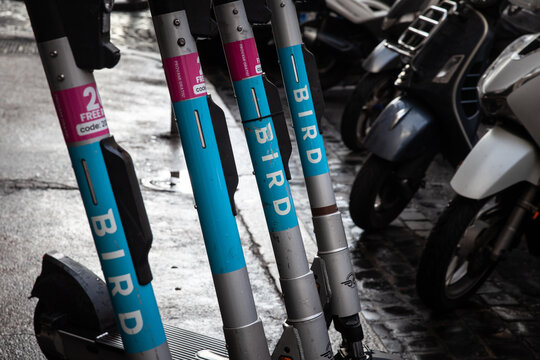 ROME, ITALY - JANUARY 15, 2025: Close view of Bird Global shared electric scooters lined on a wet cobblestone street. Birg global is a mobility company specialized in dockless electric scooters rental